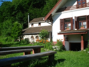 Pensiunea Iedera